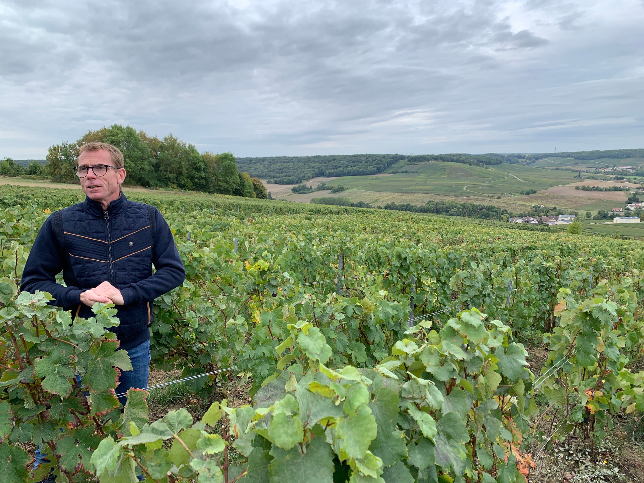 ミレジメ Millésime 2019 - Champagne Mangin – LaraVin